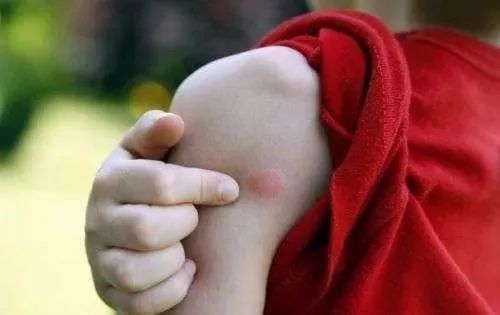 卧室消灭蚊子最好方法_卧室蚊子怎么去除_怎么把卧室的蚊子赶出去