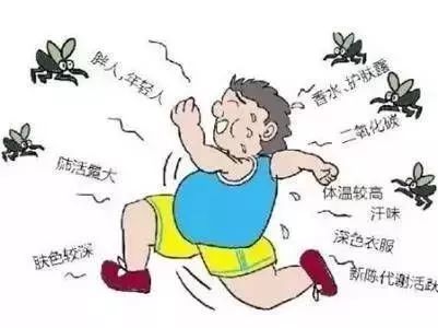 怎么把卧室的蚊子赶出去_卧室消灭蚊子最好方法_卧室蚊子怎么去除