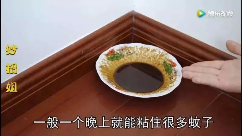 卧室蚊子怎么去除_怎么把卧室的蚊子赶出去_卧室消灭蚊子最好方法