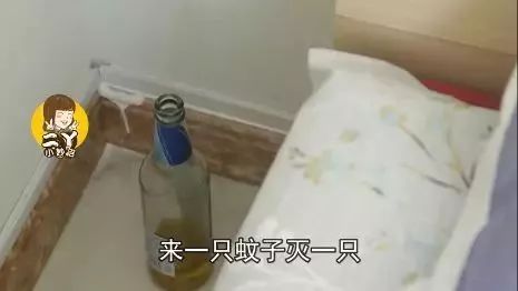 怎么把卧室的蚊子赶出去_卧室蚊子怎么去除_卧室消灭蚊子最好方法
